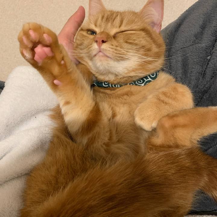 873827b2 2eec 48f0 9b27 ef66c291c009 1585263992539