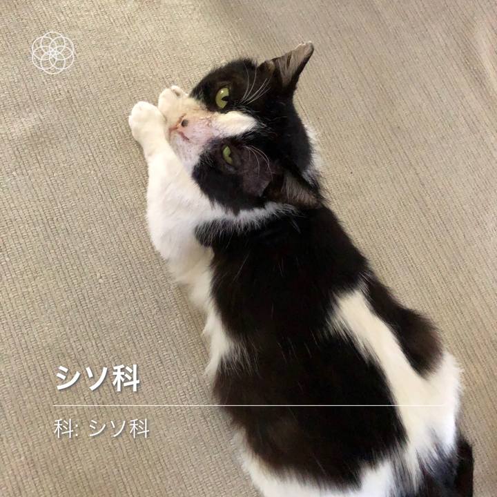 87382f79 9842 4e51 97ef 131c22edd57f 1621140700786