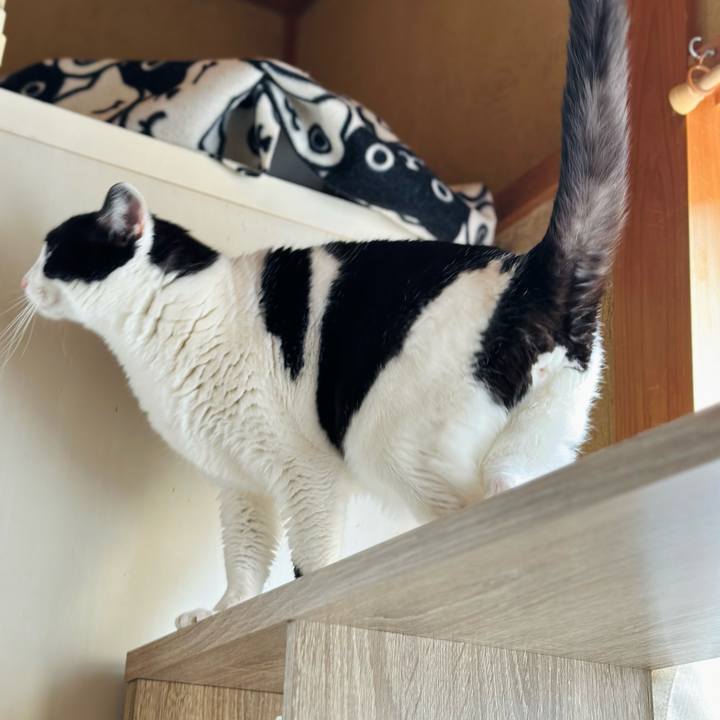 873883ad 4a6f 4cdd 8961 3165b324c3c7 1714354048949