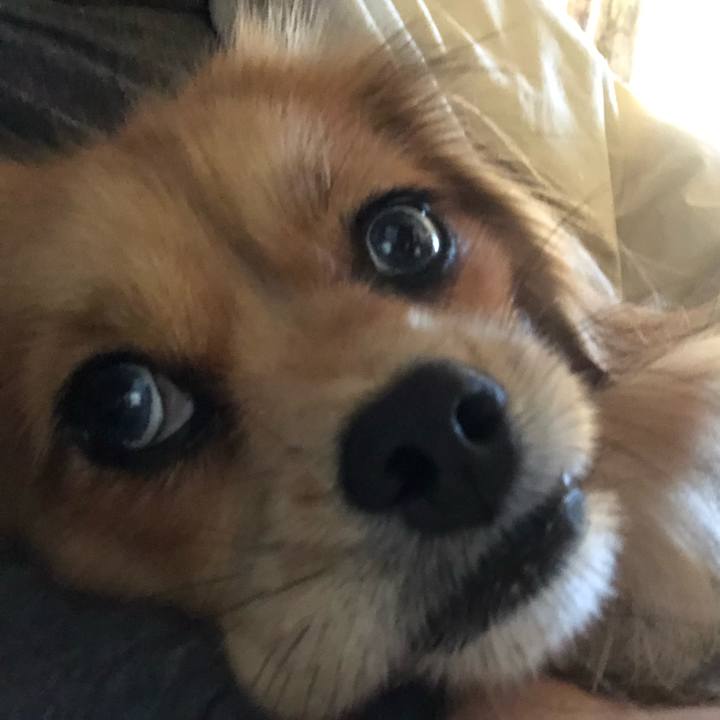 87389a0f 0fa0 4592 b0b4 d987d094185a 1543097772011