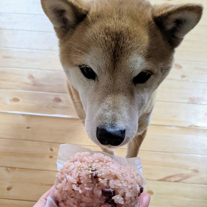 8738b478 aa95 4d66 84e4 ef85dd6e6c3a 1641873930282