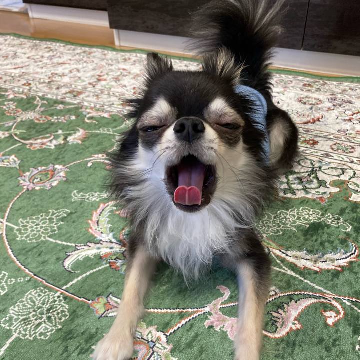 8738d14e a1a1 482c 848d 9e4113744089 1656168667640