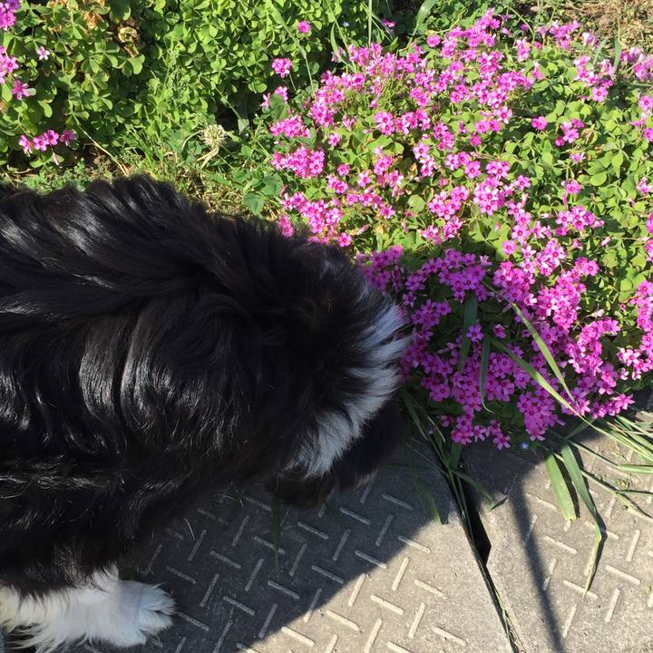 8739063d 626e 42c9 8276 5ffa85967cf3 1555811883769