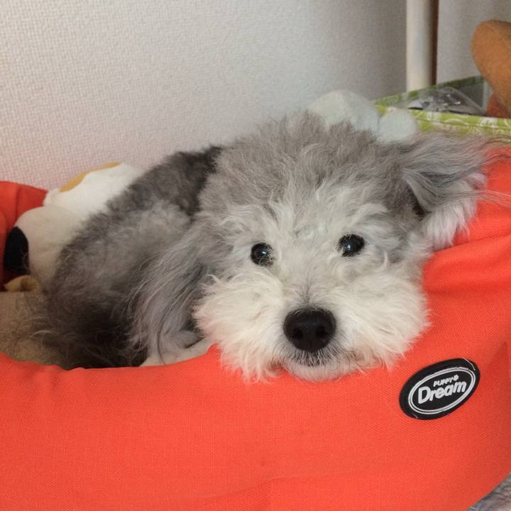 873914cb 9cf3 4ce2 8603 c9301eaa5040 1762773281553