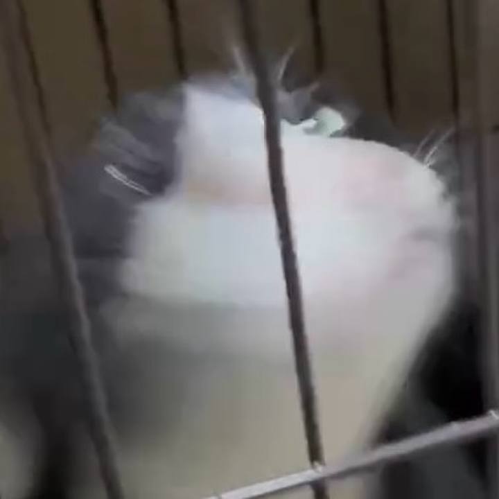 8739360d 79b2 4642 bacf cabc752f8ba0 1754912788168