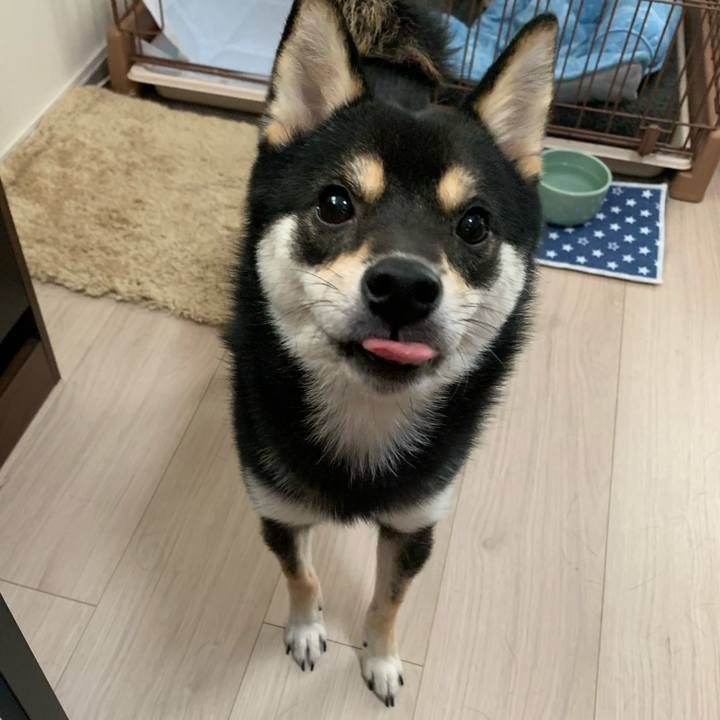 87396285 d11c 4541 b448 df1ba42edf8d 1622687110480