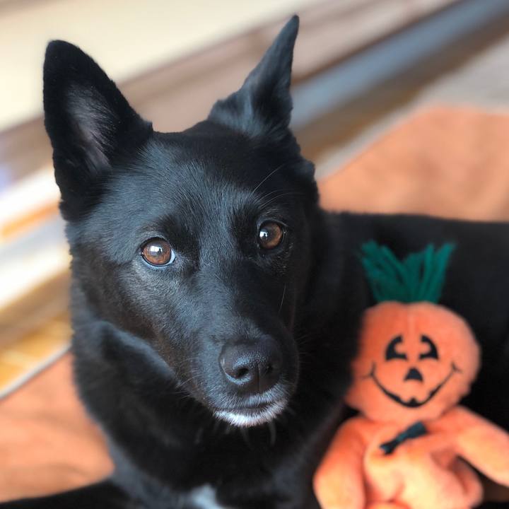 8739640b 94dc 4abd a01d de794f64c048 1604102792424