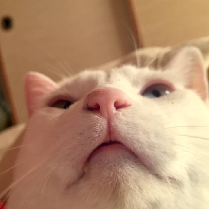 87397330 b535 4845 bd31 5ac7f32a9ebc 1510268115998