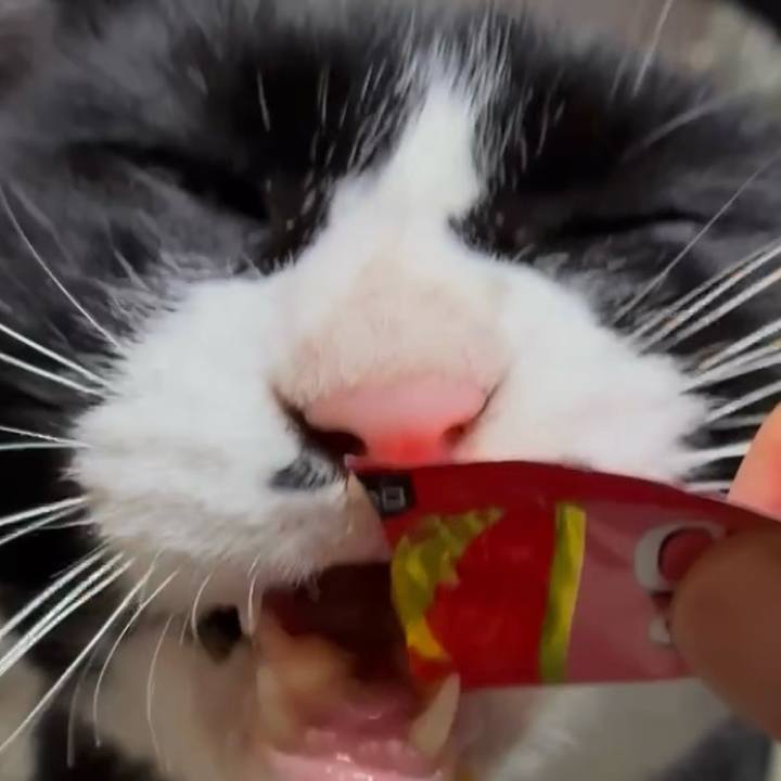 87397659 0b96 4827 91c3 4760f3fd42bb 1755078009735