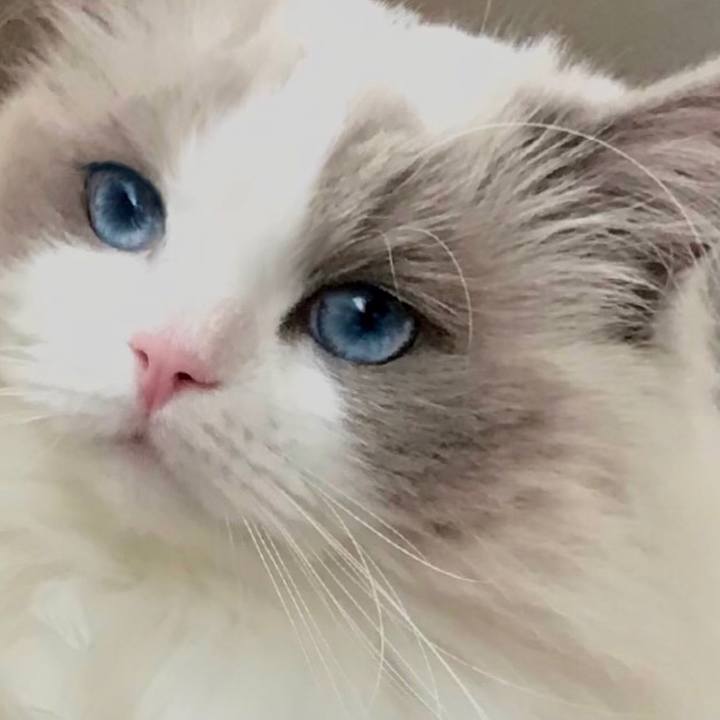 87397d3f a895 4bb3 a64d 9bf0f72d48f3 1610789158155