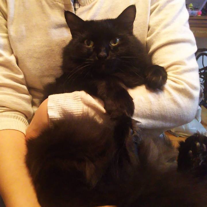 8739cdc5 dffd 4231 a39f 89748a23a931 1509537191178