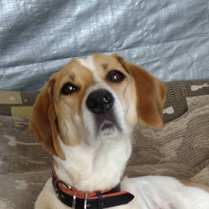 8739def7 49fa 496a b62e d8b13fd886fc 1623910048731