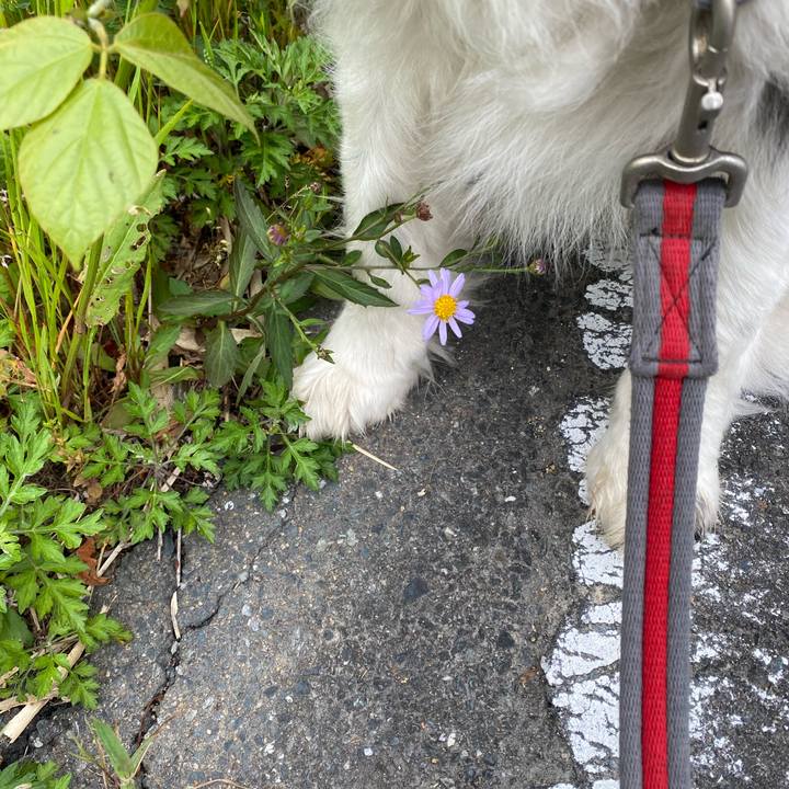 873a05c0 a03a 40c4 bb7a f2623d5628ac 1620429552892