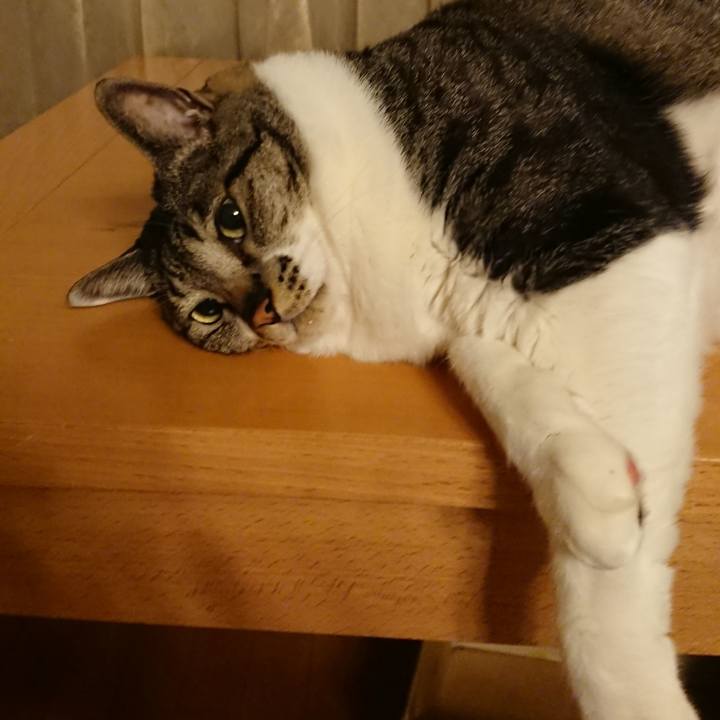 873a127f 79ad 4f02 a3e8 df22c734a8c1 1526384904742