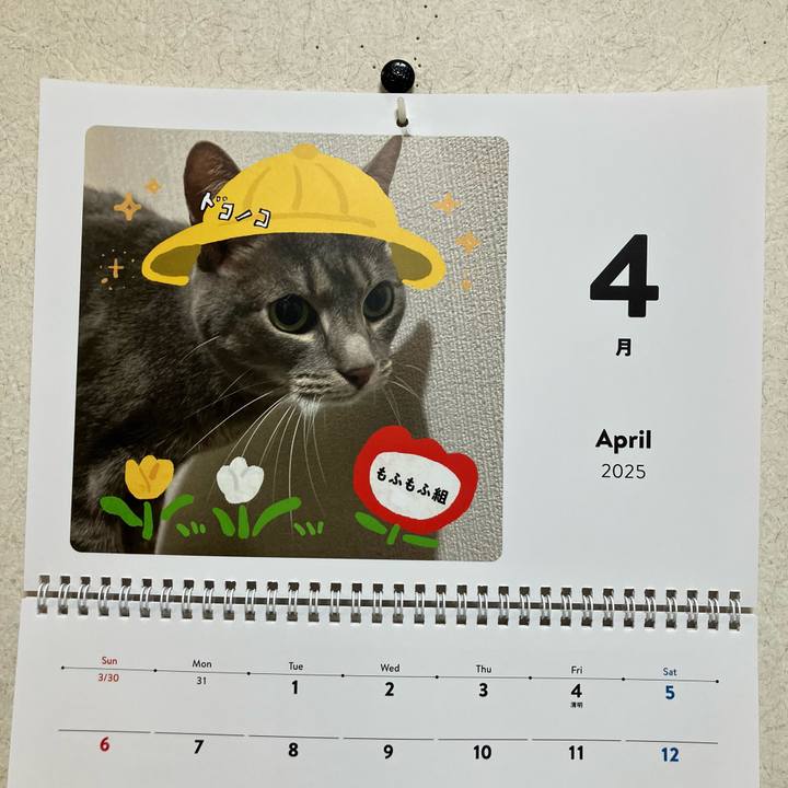 873a41ab 8263 43a5 a7ce c3d9467b2068 1743679862109