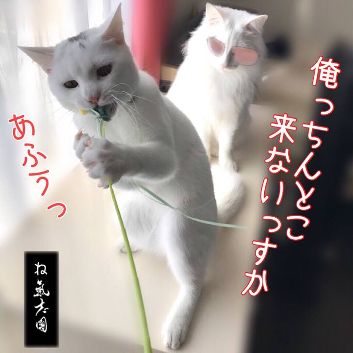 873a42d8 f054 4ec4 b971 81744473cbe6 1582722469096