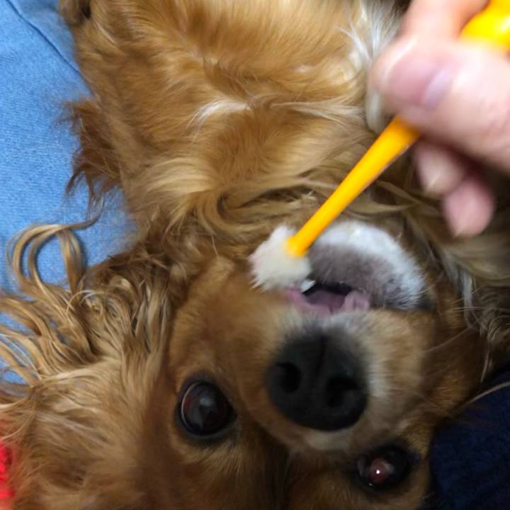 873a6f75 3818 41ee b143 6b2c394d9b46 1611147663710