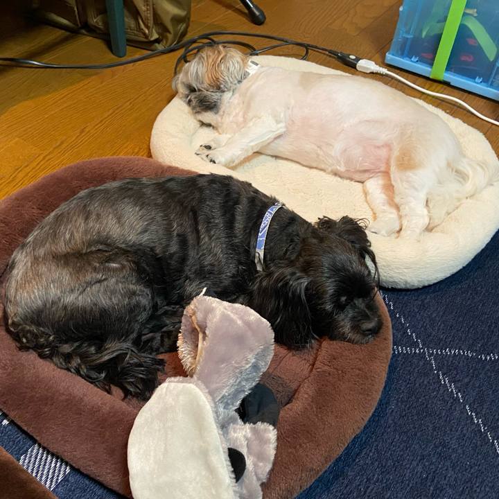 873a7e62 1cda 4aa8 8acd a30f5b66fadc 1695134339775