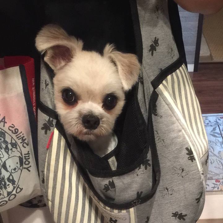 873a829f 9e3f 4e80 9e60 dd61985598ca 1531050363150