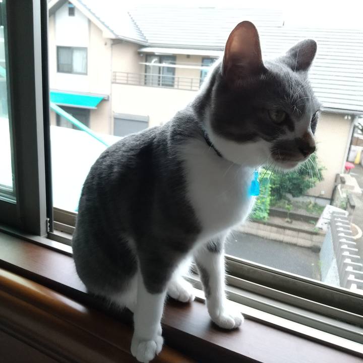 873acfb5 70e7 44ec a9d9 b98c2e0ed8be 1595976959826