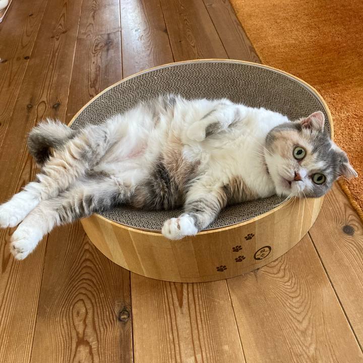 873adf92 a95b 433b b6d3 4ce824f49e8e 1723067542958