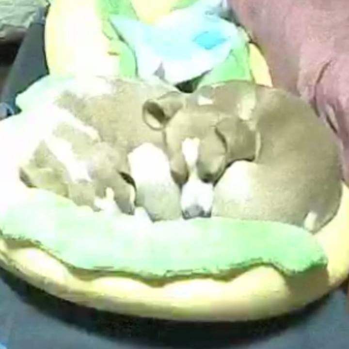 873b1fd5 ed9a 4906 822f 8dca757a3e94 1517387210128