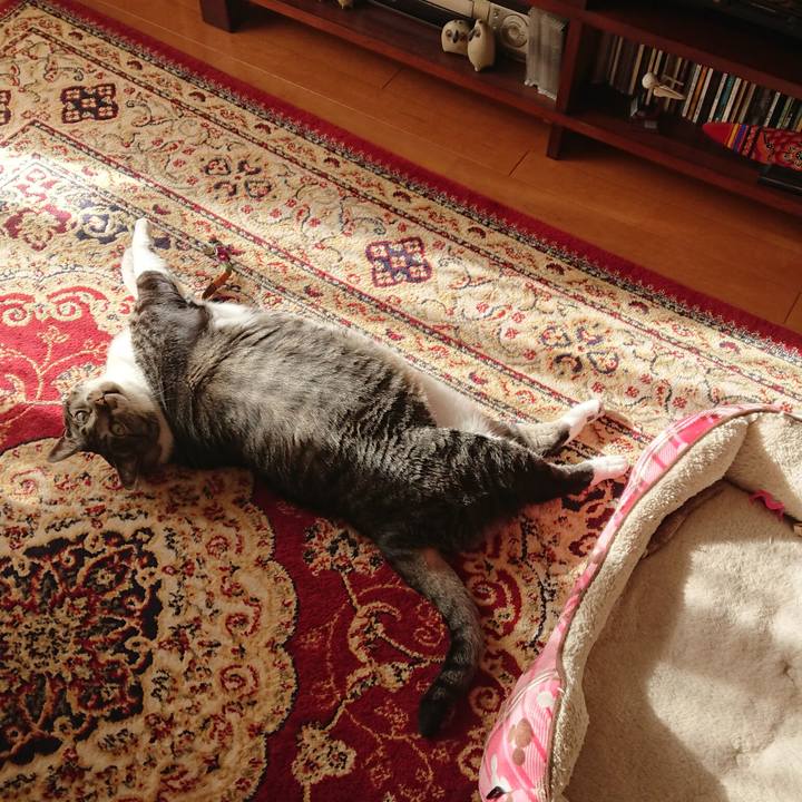 873b3b53 73f0 4a3e b350 d0bc789c3a7b 1524783188612