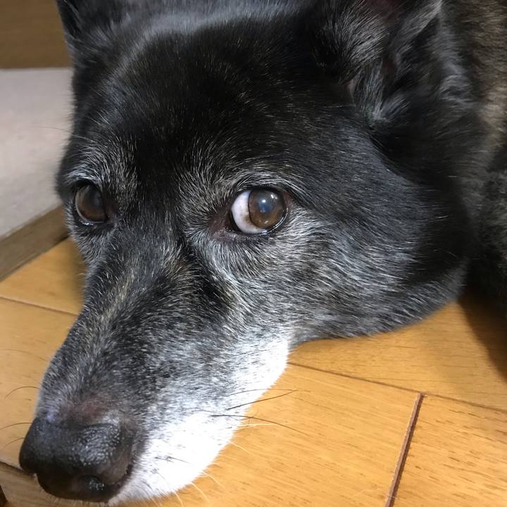 873b3d88 9b90 489e a427 08ba786cc4d4 1539257974334