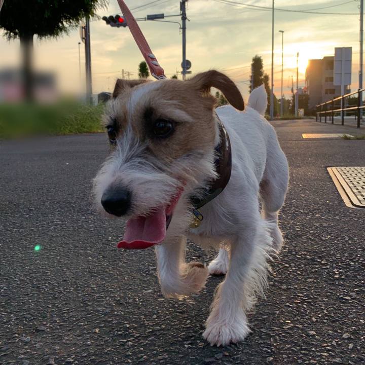 873b5f13 f980 4189 9afd 1db8064c202f 1598183205123