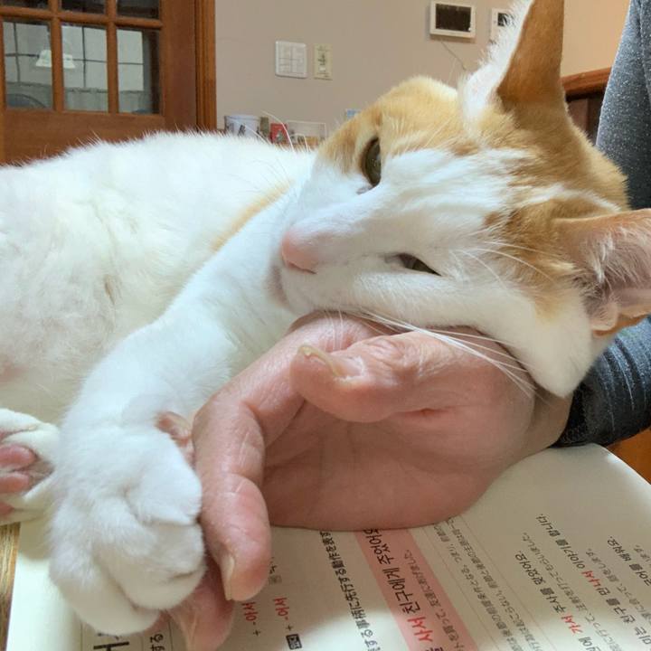 873b64d6 5c22 4f8c 9c97 c500184d253b 1588151493455