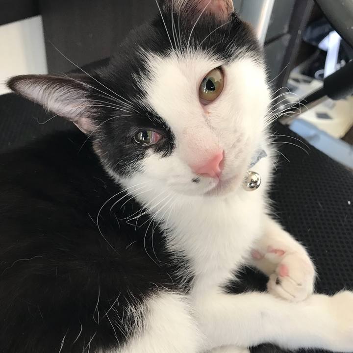 873b66a0 a621 43b6 ab36 5dca2575b3db 1513306344981