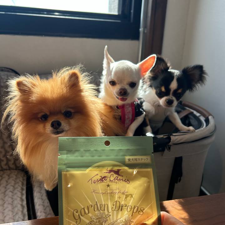 873b9d35 40c4 4ebf 87dc 56d90e71f155 1762591732472