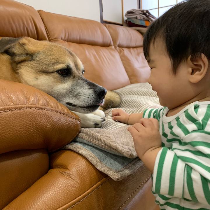 873bd6bd d21c 4004 8bfa e89f844817b4 1553854831793