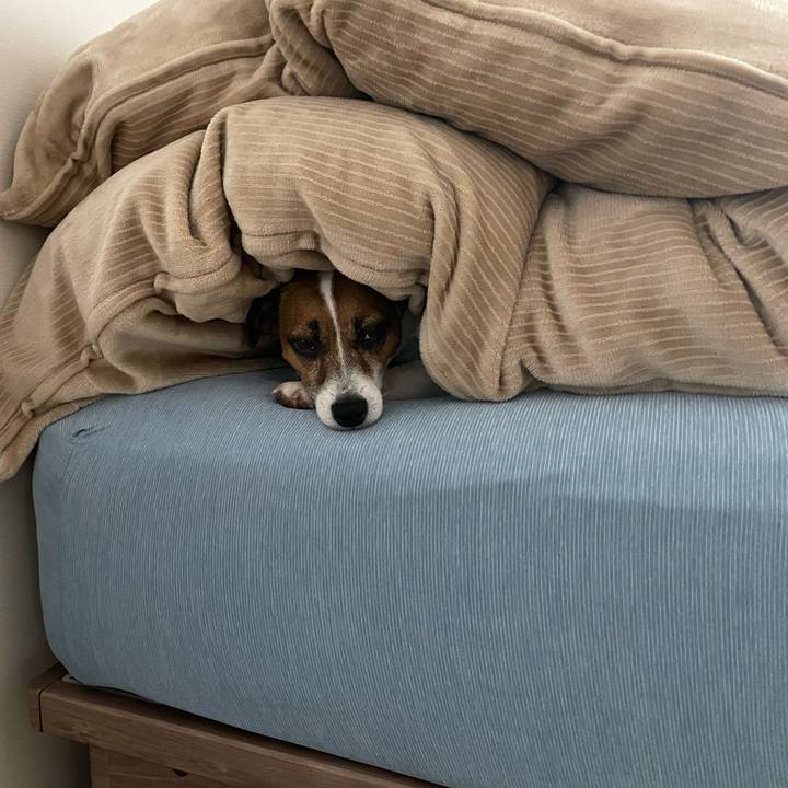 873be1d7 1800 4c41 8f87 5e5d932053c6 1716684791421