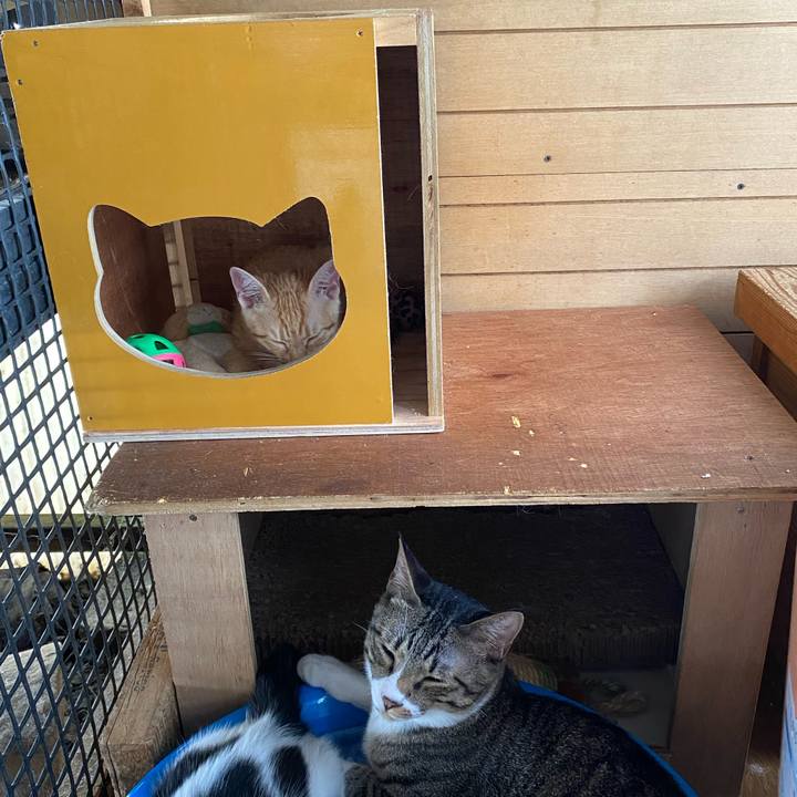 873c492f cbd3 48e2 88f5 a24e48e5d0f8 1657149670796