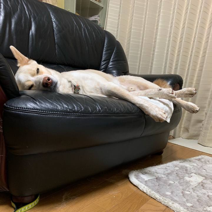 873c8001 71f4 4d8f bd76 3b61352beb33 1554988337388