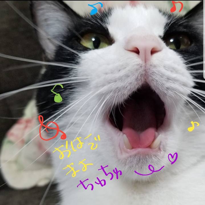 873c8690 7689 439c b54e 6c1d47afe02e 1525520528839