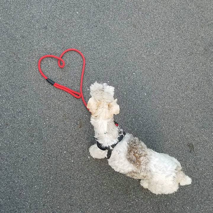 873c8a41 d295 4de2 80e2 382bc43c2707 1525088772030