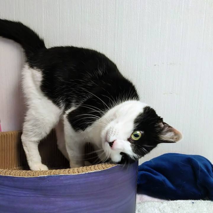 873c978a 20ab 44a1 9a75 56a20a89ad76 1773659712227