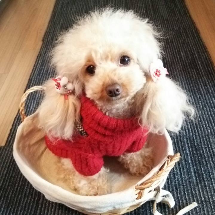 873c9f39 3a0c 4694 8b41 ab05e31995e7 1515713103366