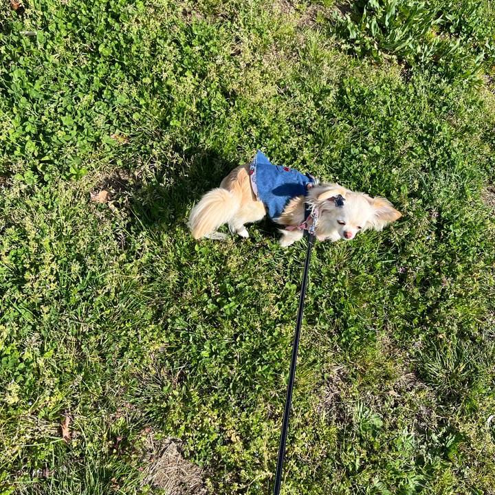 873cb914 c02e 4327 87e3 4a24ba3bb64c 1711783927184