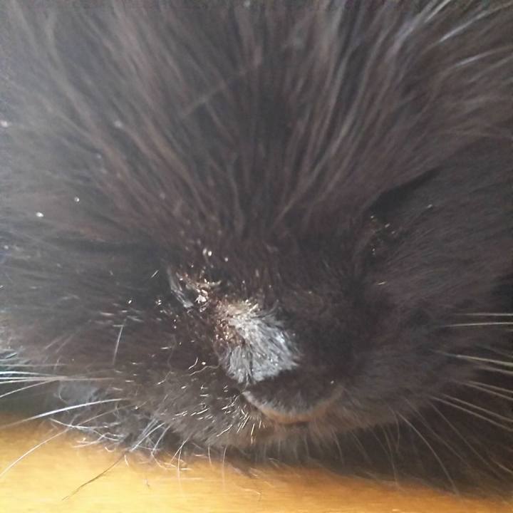 873cc9d6 10d8 403d 8301 d05e80cb0629 1557563501650