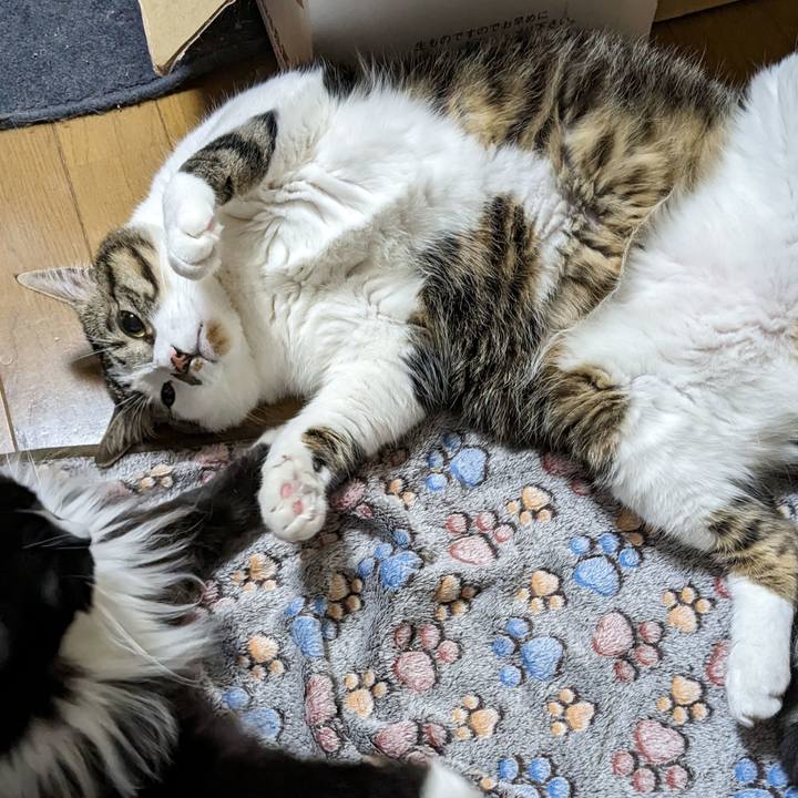 873cc9f7 c717 48aa b9c2 309ad2991a33 1679957527928