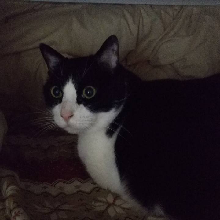 873cd591 e3ea 4092 a4af 90c20e898c3f 1549921874735