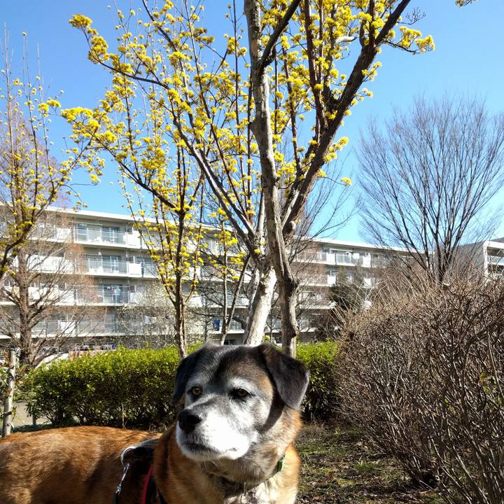 873d0aea 2337 4f40 9a4f dacd40b554c8 1520814026792