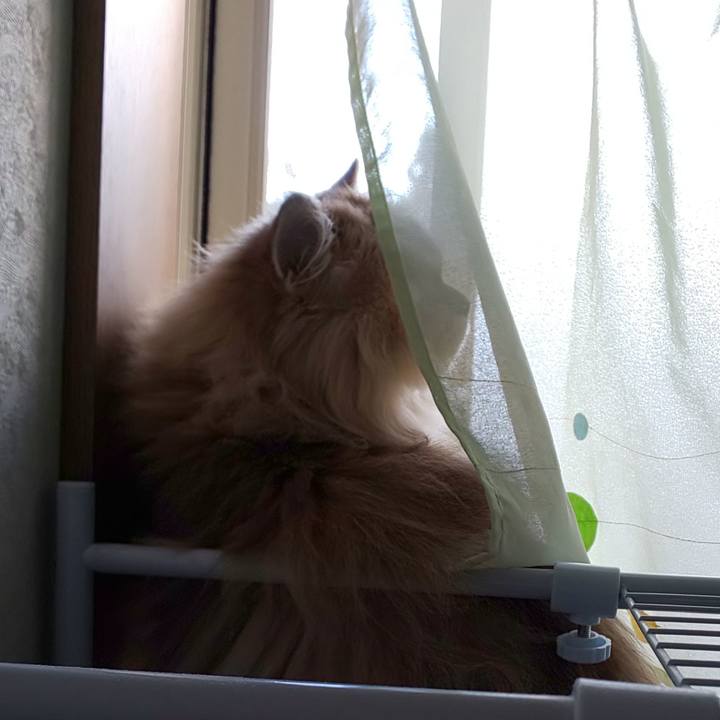 873d0fa2 4a67 4855 9868 9222b02b03da 1604707434963