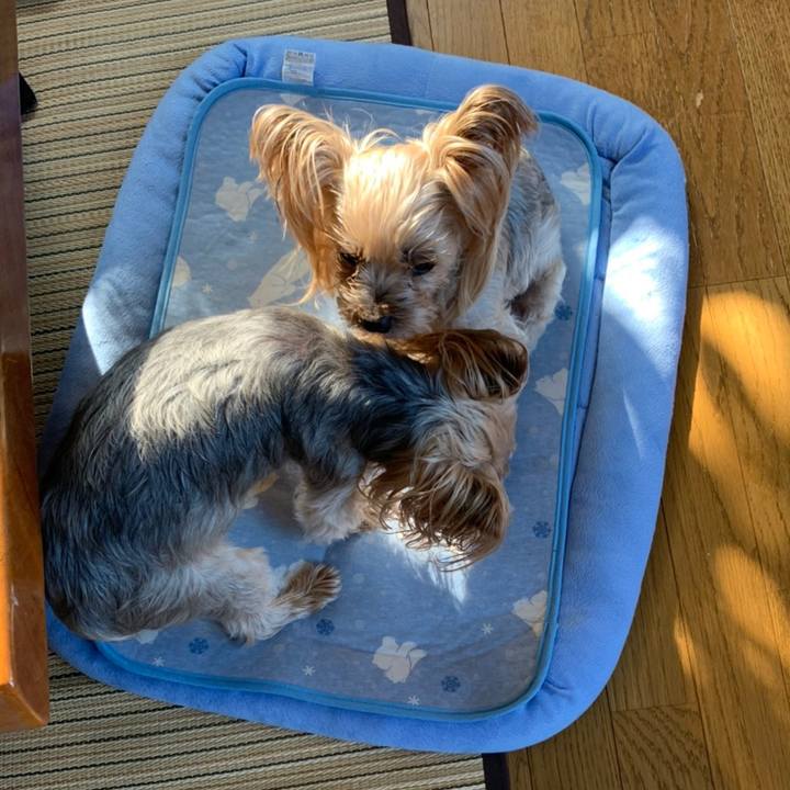 873d18e5 c6b6 4f0e bcec 227faa4a1fce 1623493298580