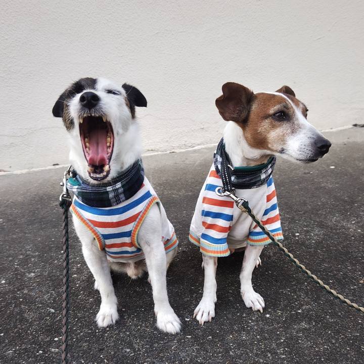 873d2048 4857 41a0 8da5 e9bd9f06b157 1755554316336