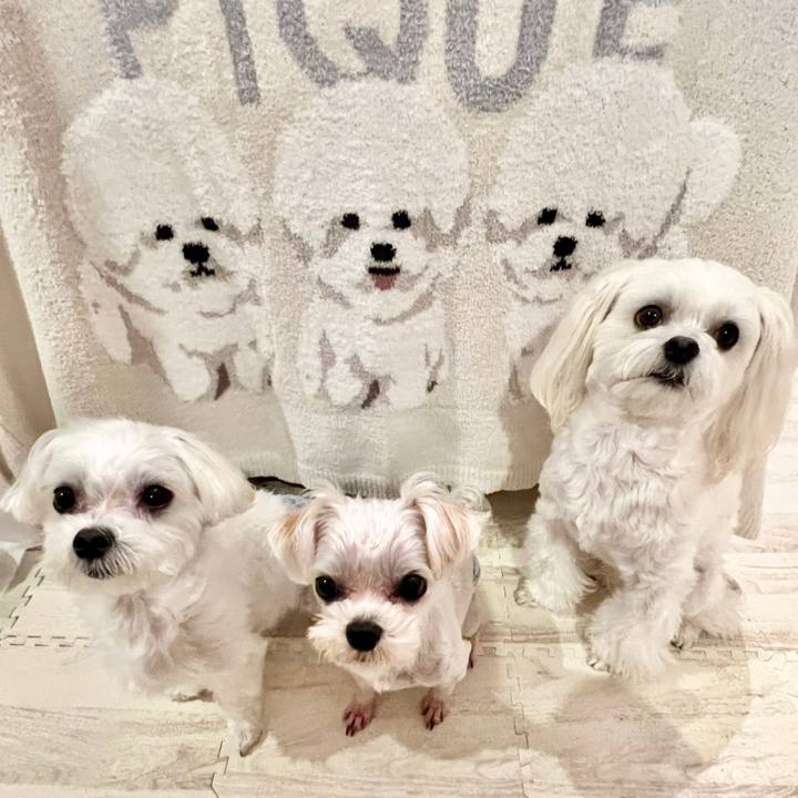 873d3118 7037 488c a8f4 30689157b03a 1663481032804