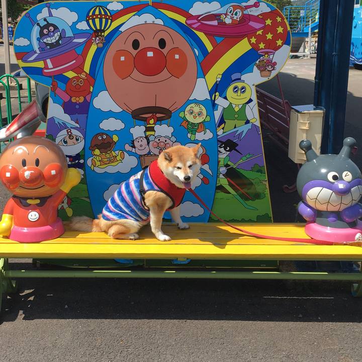 873d3ecb 056c 48b8 b53d f8b70f938449 1620555117446